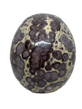Asteroid Jasper Skull #375