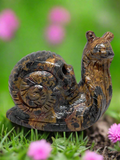 Jasper Snail with Skull #411
