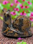 Jasper Snail with Skull #411