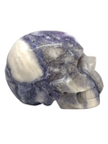 Tiffany Stone Skull #239