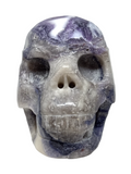Tiffany Stone Skull #239