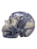 Tiffany Stone Skull #239