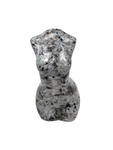 Female Torso - small