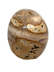 Petrified Wood Skull #408