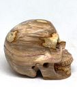 Petrified Wood Skull #408