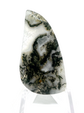 Moss Agate Cabochon #117