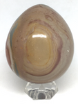 Polychrome Jasper Egg # 207 - 7cm