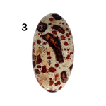 Asteroid Jasper  Cabochons - Lot #21