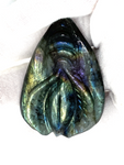 Labradorite Female Genitalia #411