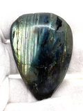 Labradorite Female Genitalia #411