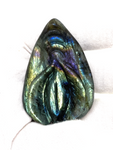 Labradorite Female Genitalia #411