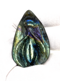 Labradorite Female Genitalia #411