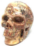 Crazy Lace Agate Skull #415