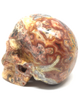 Crazy Lace Agate Skull #415