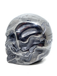 Terahertz Demon Skull #416