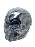 Terahertz Demon Skull #416