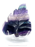 Rainbow Fluorite Leaf #424