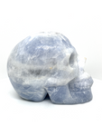 Celestite Skull #426