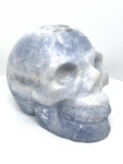 Celestite Skull #426