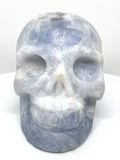 Celestite Skull #426