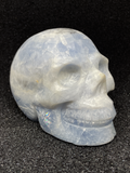 Celestite Skull #426