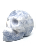 Celestite Skull #426