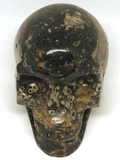 Ocean Jasper Skull #426