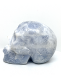 Celestite Skull #426