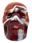 Red Agate Skull #438