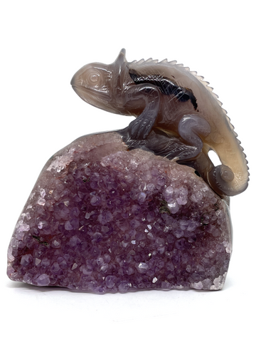 Amethyst Agate Geode Carnelian Lizard #498