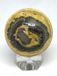 Bumble Bee Jasper Sphere #316 - 4.7cm