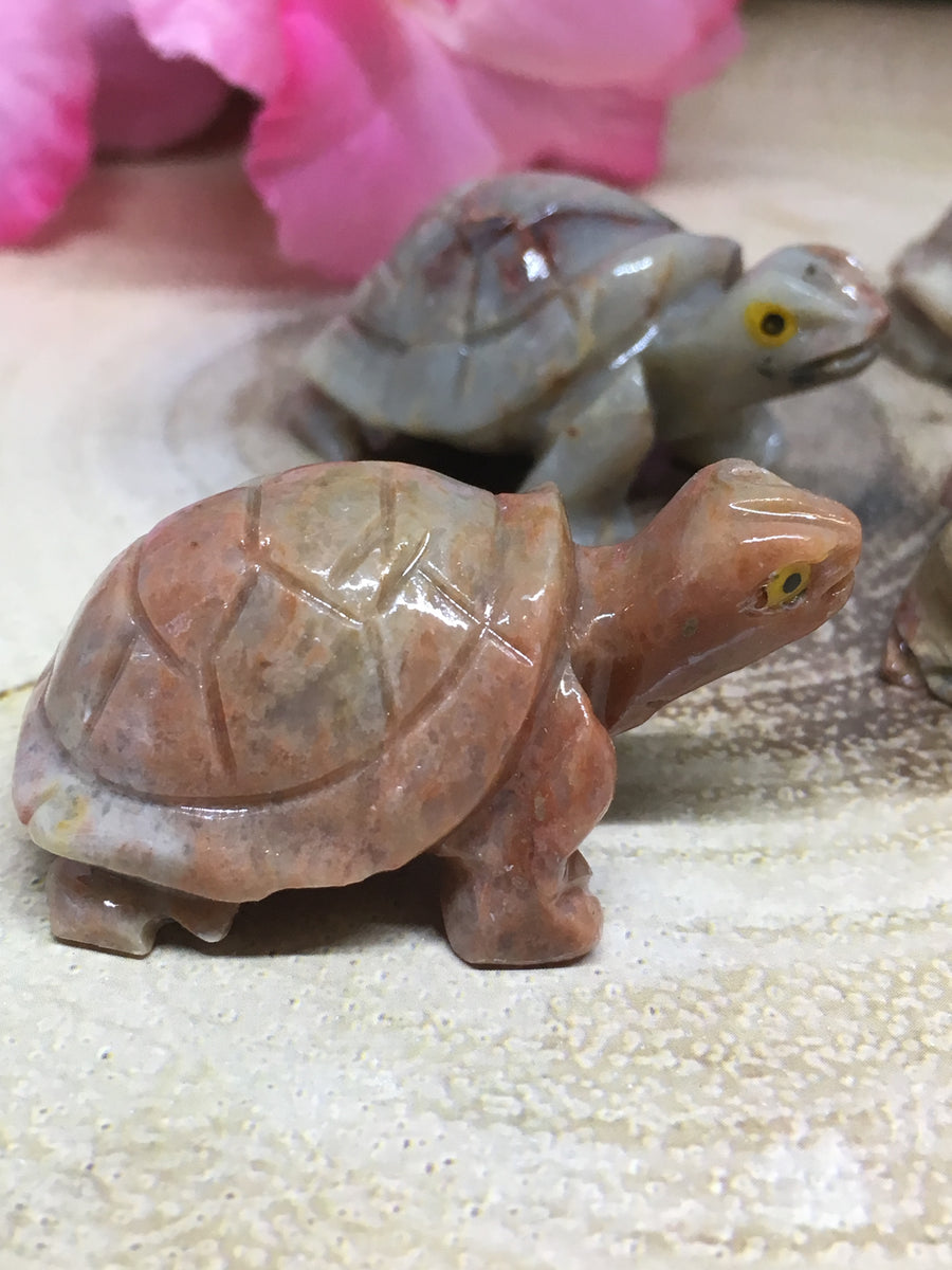 Tortoise Soapstone Carving – Wicked Crystals and Things