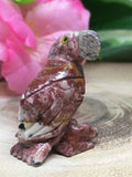 Parrot Soapstone Carving