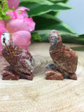 Parrot Soapstone Carving