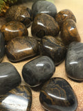 Stromatolite Tumble Stones