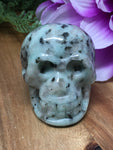 Kiwi Stone Skull # 266