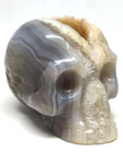 Agate Geode Skull # 159