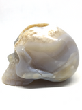 Agate Geode Skull # 159