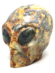 Crazy Lace Agate Alien Skull with Labradorite Eyes #184
