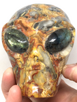 Crazy Lace Agate Alien Skull with Labradorite Eyes #184