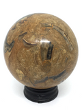 Ammonite Fossil Sphere #368 - 5.5cm