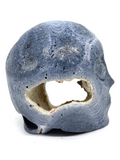 Blue Coral Jasper Alien Skull #319