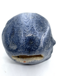 Blue Coral Jasper Alien Skull #319