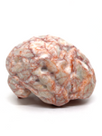 Red Network Jasper Brain #197