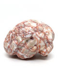 Red Network Jasper Brain #197