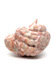 Red Network Jasper Brain #197