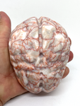 Red Network Jasper Brain #197