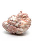 Red Network Jasper Brain #198