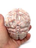 Red Network Jasper Brain #198