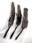 Smudging Feather - Turkey Feathers